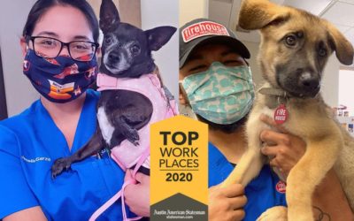 Firehouse awarded top Kyle workplace  For the third year, your veterinary hospital ranked among the best places to work