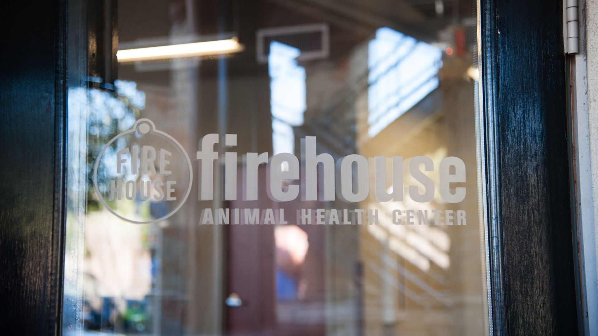 Video Gallery Firehouse Animal Health Kyle