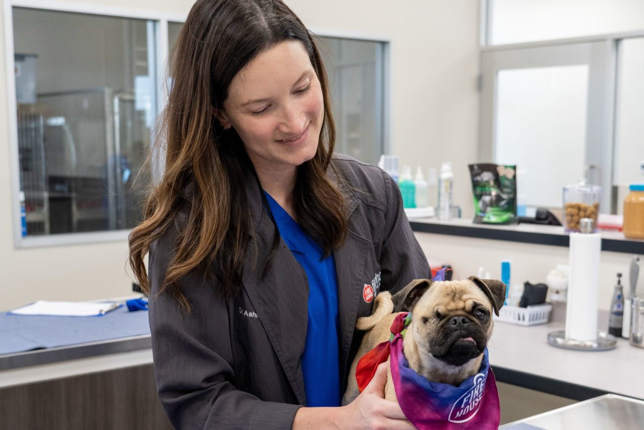 Best Veterinary Hospital Kyle, TX Firehouse Animal Health