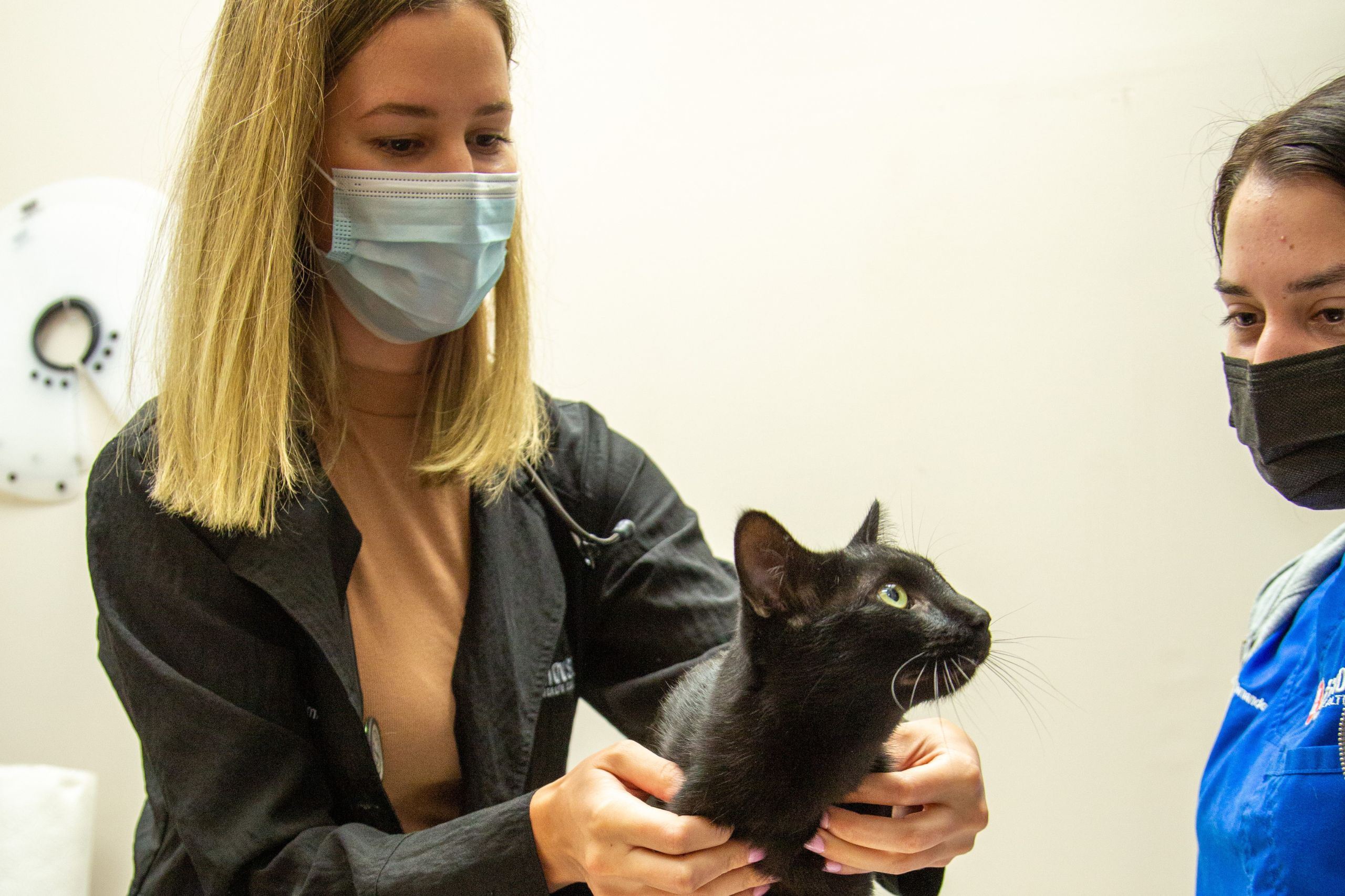 Dr Emily Bak with cat