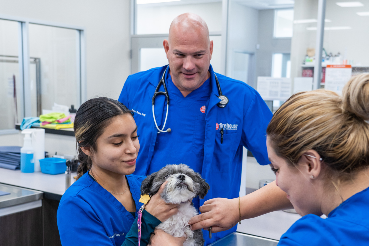 Best Veterinary Hospital Kyle, TX Firehouse Animal Health