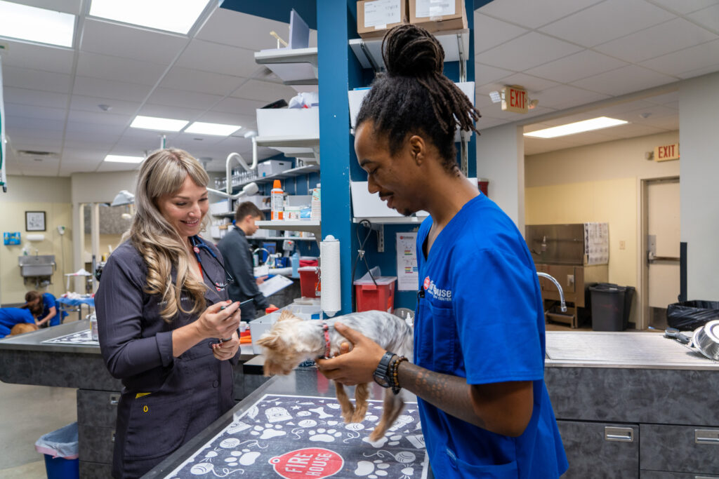 Veterinary Appointment In Kyle, TX Firehouse Animal Health Kyle