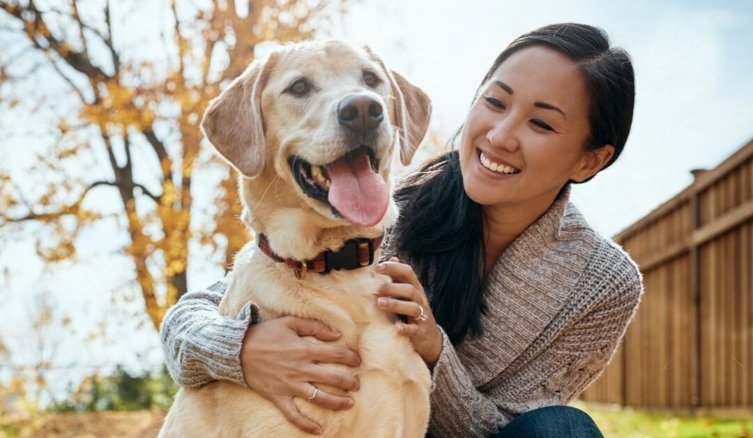 Keep Your Pets Safe from Nature’s Hunters  6 tips to protect dogs and cats from coyotes, bobcats, and other predators