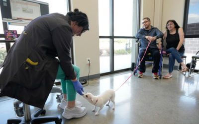 Firehouse Steps in To Support Pets & Their Families  Free veterinary care through the Statesman’s Season for Caring program