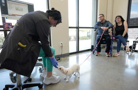 Firehouse Steps in To Support Pets & Their Families  Free veterinary care through the Statesman’s Season for Caring program